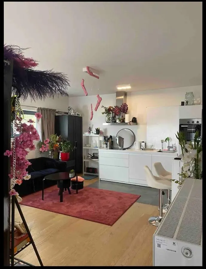 Апартаменты Studio De Charme Брюссель